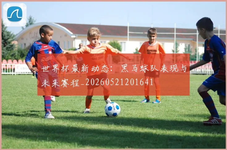 世界杯最新动态：黑马球队表现与未来赛程_20260521201641